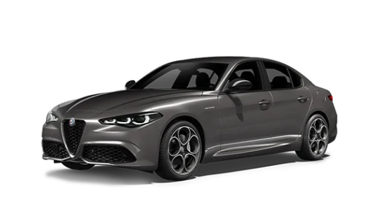 Alfa Romeo Özel Servis