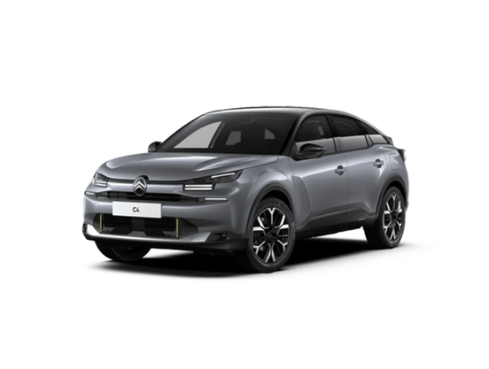 Citroen Özel Servis