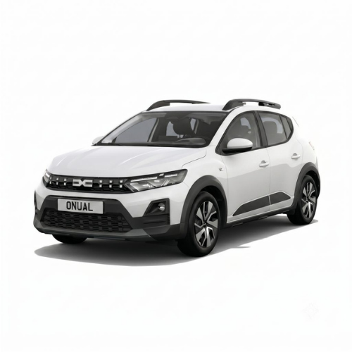 Dacia Özel Servis